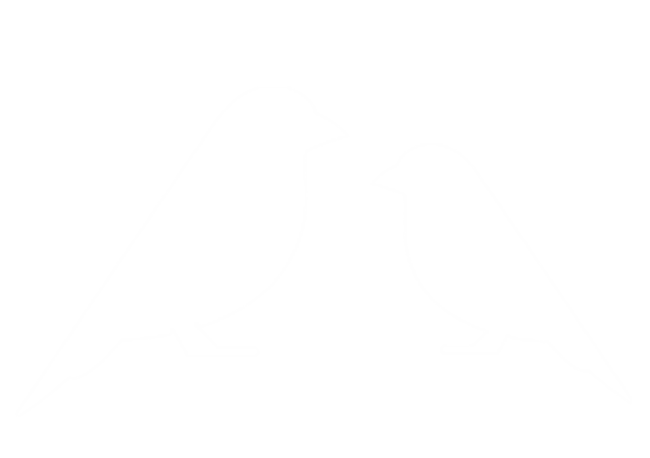 BT_birds