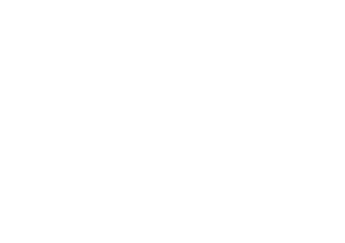 BT_birds