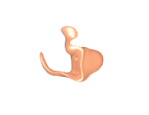 Impronte per apparecchi: secret ear aperto